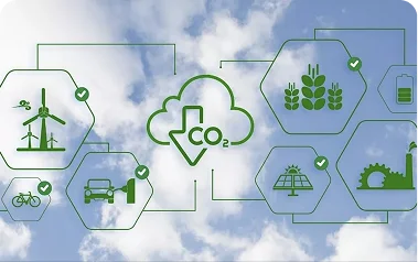 Management de l'innovation durable